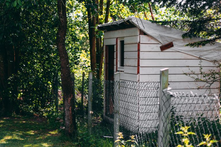 Can Shed Skirting Prevent Pest Problems? Here’s What You Should Know